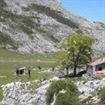 Refugio Picos Europa Refugio Picos Europa