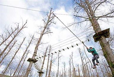 Parques Con Tirolinas Parques Con Tirolinas