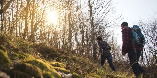 Young-Couple-Walking-Forest